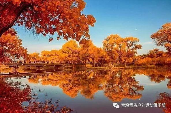 本以为她转行退圈，实际是电视剧拍一半因车祸而英年早逝