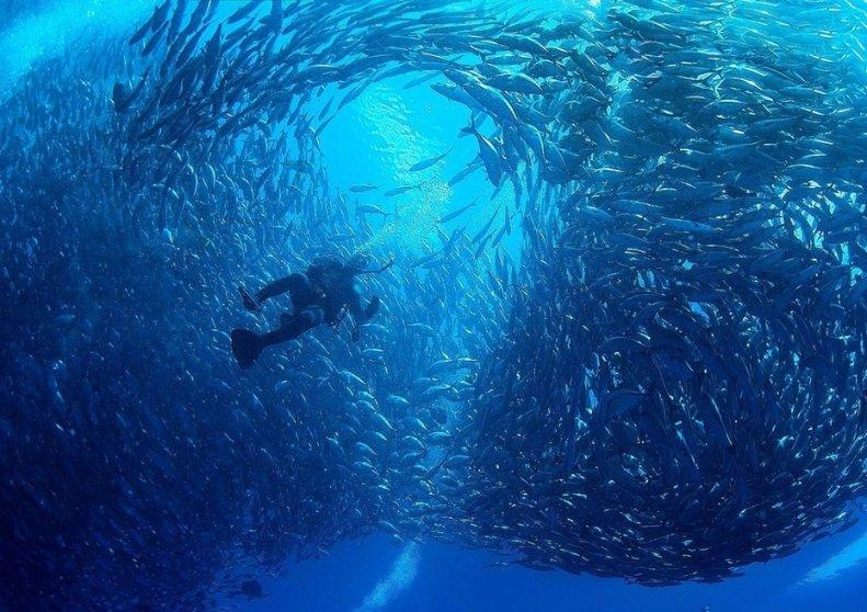 海拔4300米!陆军锤炼狙击手“一枪毙敌”过硬本领