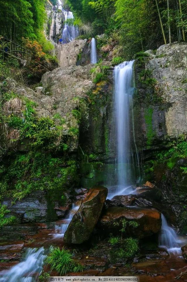 罗莱迪思荣获杭州西湖风景名胜区岳庙管理处表彰